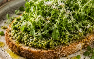 Arugula Microgreen Pesto Toast