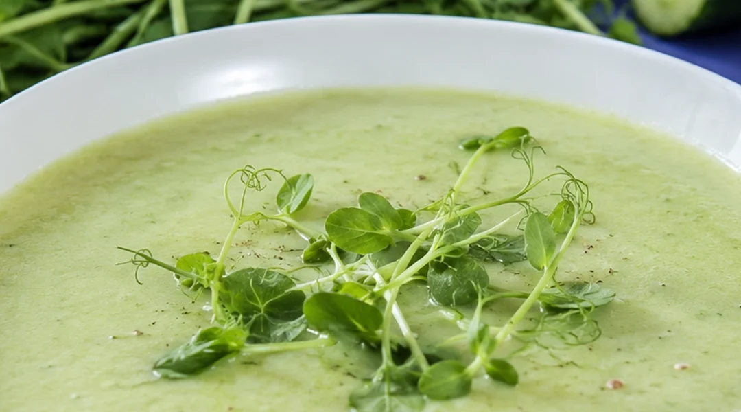 Chilled Cucumber Soup with Field Pea Microgreens
