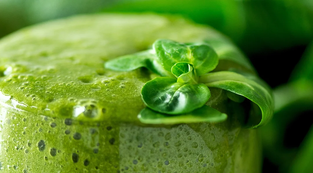 Tropical Kale Smoothie