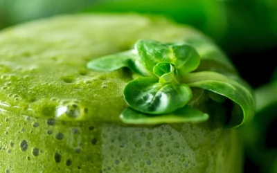Tropical Kale Smoothie
